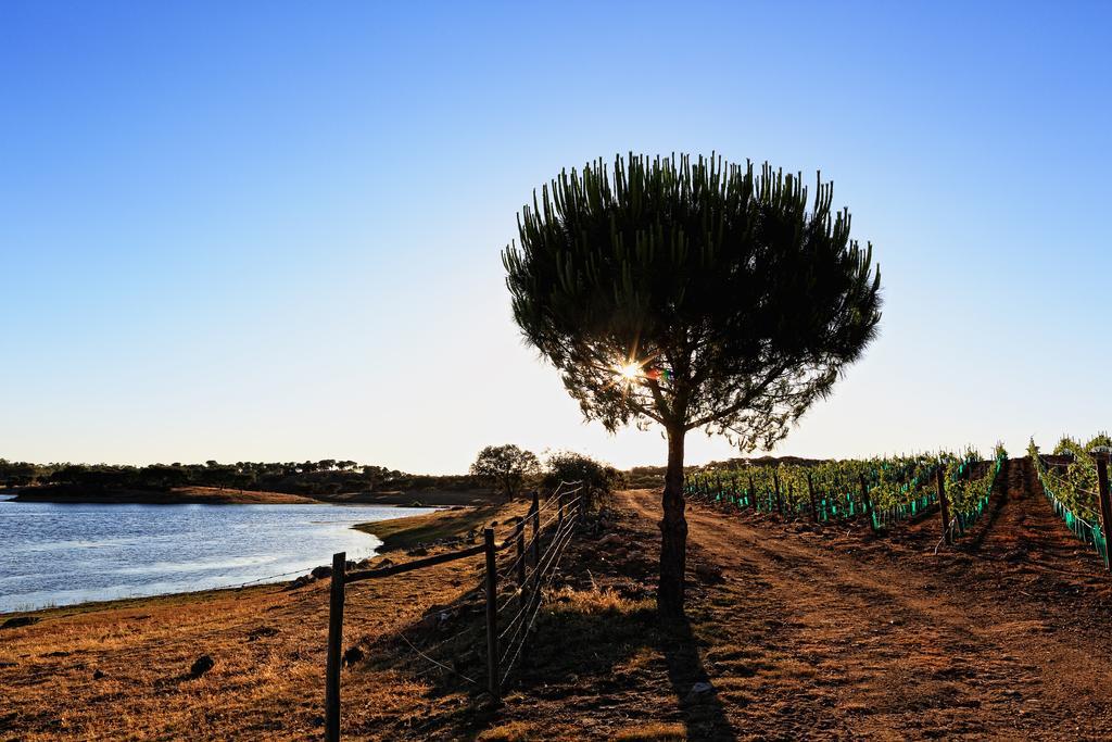 Herdade da Calada Azaruja Exterior foto