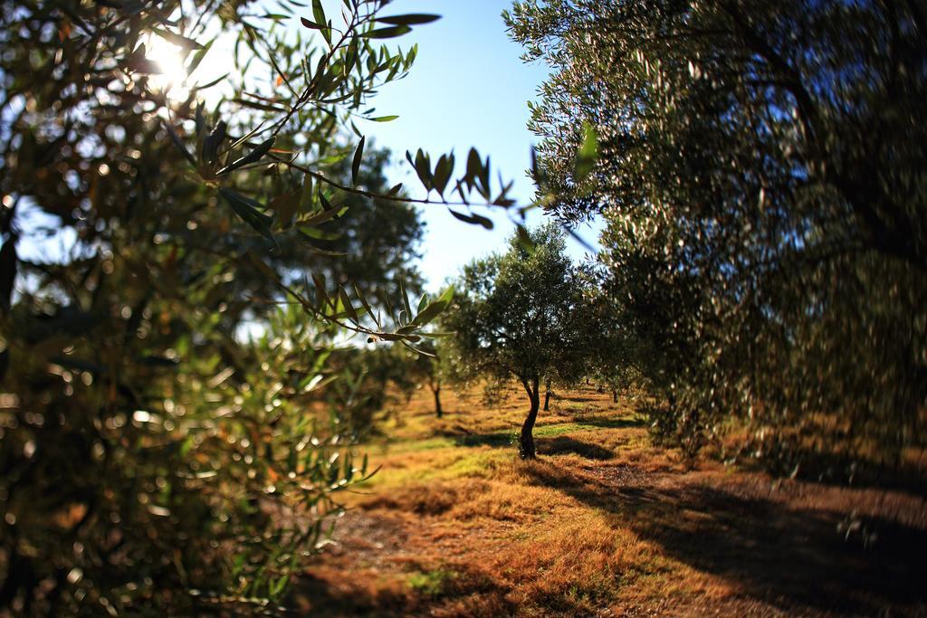 Herdade da Calada Azaruja Exterior foto