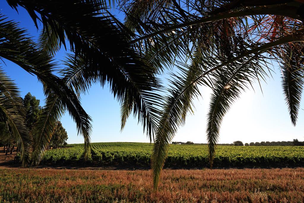 Herdade da Calada Azaruja Exterior foto