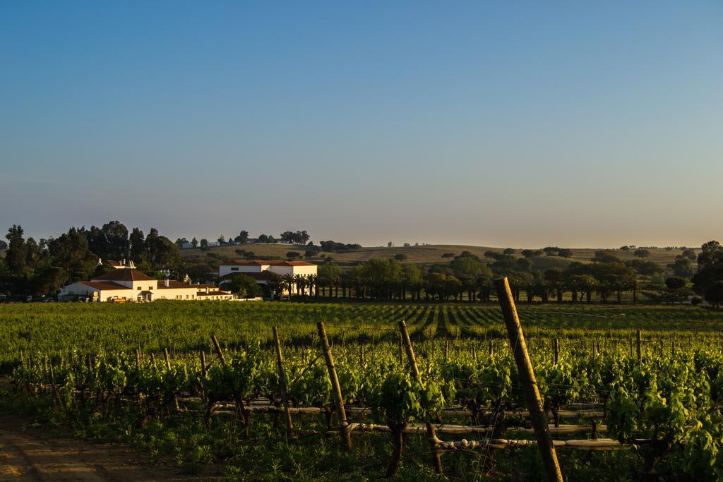 Herdade da Calada Azaruja Exterior foto