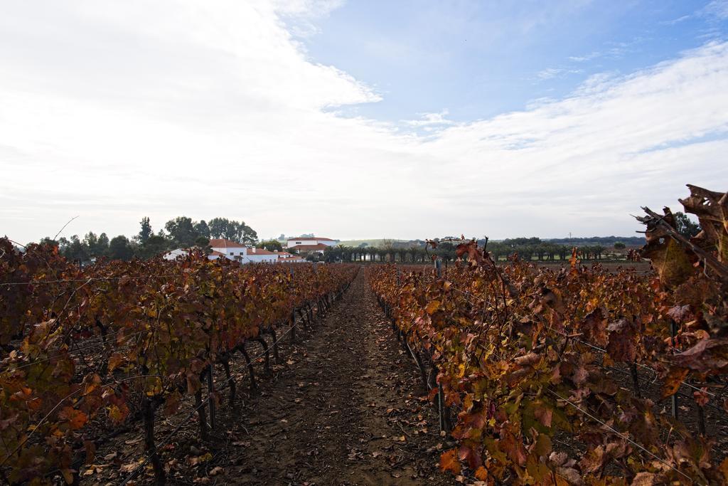 Herdade da Calada Azaruja Exterior foto